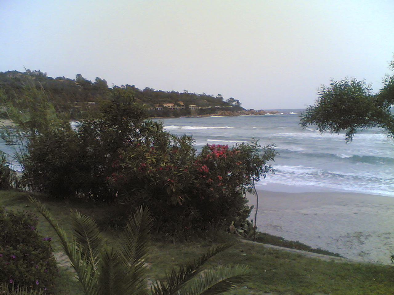 Arbatax